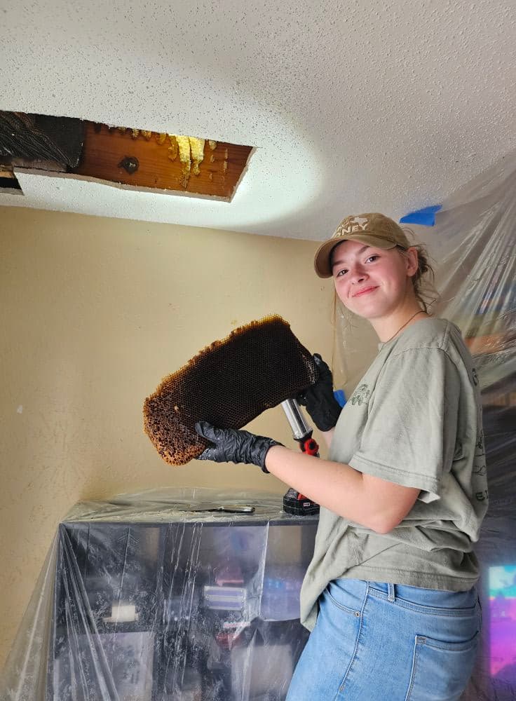 Bee removal carousel